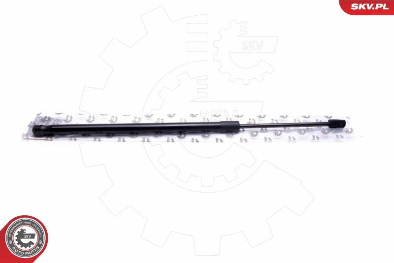 Gas Spring, boot/cargo area